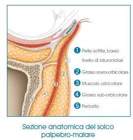 crema contorno occhi struttura